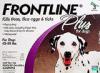 pest_frontlinedog.jpg
